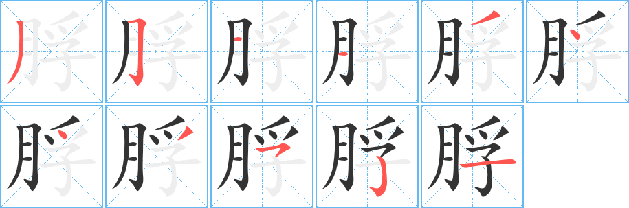 脬字笔画写法