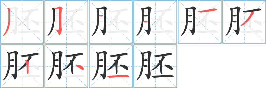 胚字笔画写法